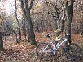 bici olera 043